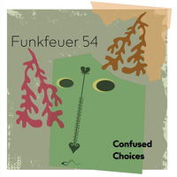 Funkfeuer 54 - Confused Choices by Funkfeuer 54