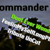 Commander B - Dont Ever Wonder (FeelinMySelfLongPlay) by Ministry Of New Jack Swing