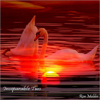 Inseparable two by Ron Mulder