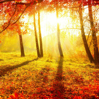 Autumn Mood by Dan Inc DiTaF