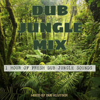 1 Hour of Fresh Dub Jungle Sounds (Dub/Jungle/D'N'B) Mixed by DUB KLUTSER by BOOG!