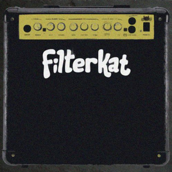 Filterkat