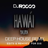 HAWAII - MALUMA (Deep House Rocco RMX) by DJ Rocco