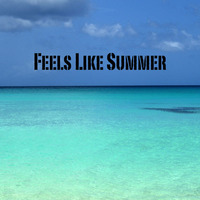 Feels Like Summer by Moloke
