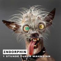 Ξndorphin - 1 Stunde purer Wahnsinn by Ξndorphin