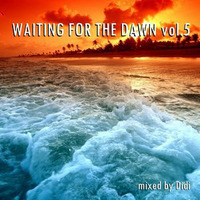 Waiting For The Dawn vol.5 by Didi Deejay