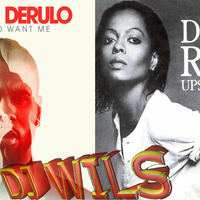 DIANA ROSS VS JASON DERULO - Want to want me upside down (DJ WILS ! remix) by DJ WILS !