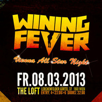 Irie Sound's Live Set @ Wining Fever 08.03.2013 (Loft, Vienna) by Irie Sound