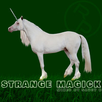 Strange MagicK (MiX) by Rhythm People