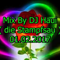 Mix By DJ Haui ( die Stampfsau ) 01.02.2017 by DJ Haui ( Die Stampfsau )