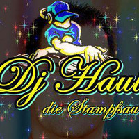 Dj Haui Spezial bass Stampfen mit der Stampfsau mix von 14.03.2017  Remix by DJ Haui ( Die Stampfsau )