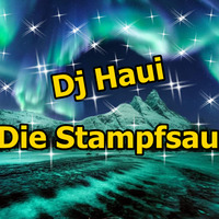 DJ Haui ( Die Stampfsau )  Super Mix 3 Stunden ( 100% Music ) by DJ Haui ( Die Stampfsau )