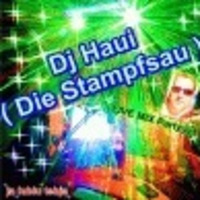 Mix By DJ Haui ( Die Stampfsau ) 24.06.2020 Live Remix Party by DJ Haui ( Die Stampfsau )