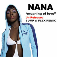 Nana - Meaning Of Love (Un-released Bump & Flex Remix) by Grant Nelson