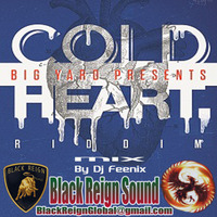 COLD HEART RIDDIM MIX [BY Dj FeeniX - BLACK REIGN SOUND] by Black Reign Sound