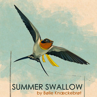 Summer Swallow by Makrohouse
