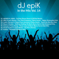 dJ epiK - In the Mix Vol. 14 by dJ epiK