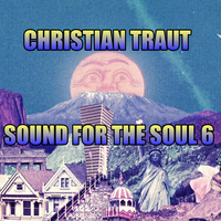 CHRISTIAN TRAUT - SOUND FOR THE SOUL 6 by Christian Traut