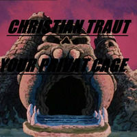 Christian Traut - Your Privat Cage (4 Decks, MK2, TB8, System 1, Ableton) by Christian Traut