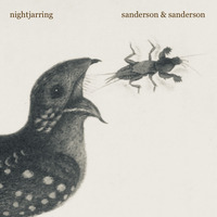 nightjarring by sanderson & sanderson