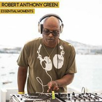 Essential moments (deep insight) by Robert Anthony Green