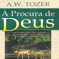  PROCURA DE DEUS(3) - Removendo o Véu (A.W. Tozer) by Audioteca Cristã