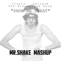 Tiesto, DallasK &amp; The Bloodhound Gang - Show Me Sweat [ MR.SHAKE Mashup ] by MR.SHAKE