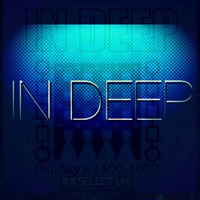 Paul layden In Deep 110 Releasefm.net by Groove Music Union