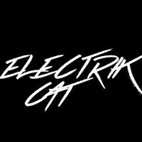 Electrik Cat @ The Green Rooster NYD 2016 by Electrik Cat
