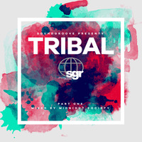 SGR116DD - Various Artists - SoundGroove Records present TRIBAL