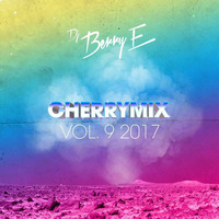 Cherrymix 2017 Vol. 9 by Hollywood Tramp