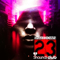 DNB SHAKEDOWN 23 by Shaundi Frequencies