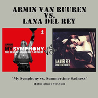 AvB vs. L. Del Rey - My Symphony vs. Summertime Sadness (Fabio Allan's Mashup) by Fábio Allan