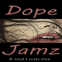 Dj Soul T Nuts - Dope Jamz by Dj Soul T Nuts