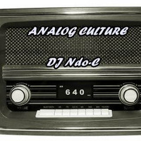 Analog Culture  by DJ Ndo-C 1 by Linda DJ Ndo-C  Maseko