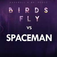 Hardwell - Birds Fly vs. Spaceman vs. Rocket (Chris Rodrigues Edit) by Chris Rodrigues
