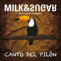 Milk &amp; Sugar - Canto Del Pilon (DEEPmus Remix) by DEEPmus