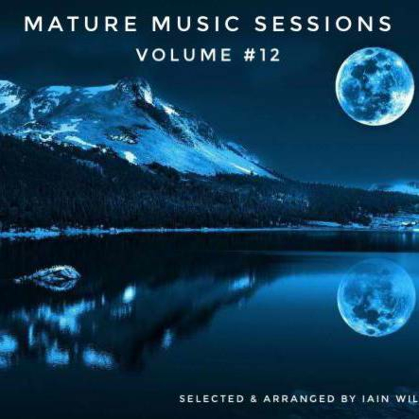 The Mature Music Sessions - Volume #12 - Iain Willis