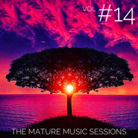 The Mature Music Sessions Vol #14 - Iain Willis by Iain Willis - Soulful House Connoisseur