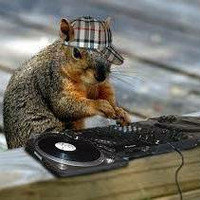 DJ Squirrel in the Mix - No 1 by Nick Davies
