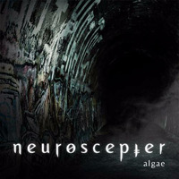 Algae by neuroscepter