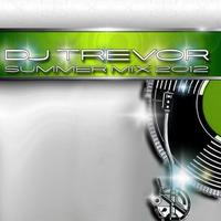 Summer Dance Mix 2012 by Trevor