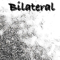 Bilateral by ELASTIX