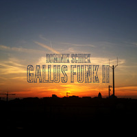 Gallus Funk 2 by Dominik Schiek