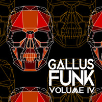GallusFunk4 by Dominik Schiek