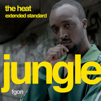 Jungle-The Heat (fgon extended standard) by FGON