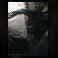 Karel Goldbaum - Conflagration (Ethan Van Guard Remix) by Ethan Van Guard