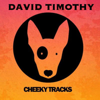 David Timothy - We Love Cheeky Tracks 1 by David Timothy DJ