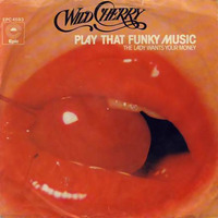 Play That Funky Music (Vinyl 12'' Promo Unofficial) by Liquid Funk
