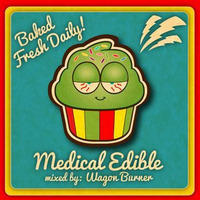 MEDICAL EDIBLE (MIX) 1.18.2013 by WAGON BURNA